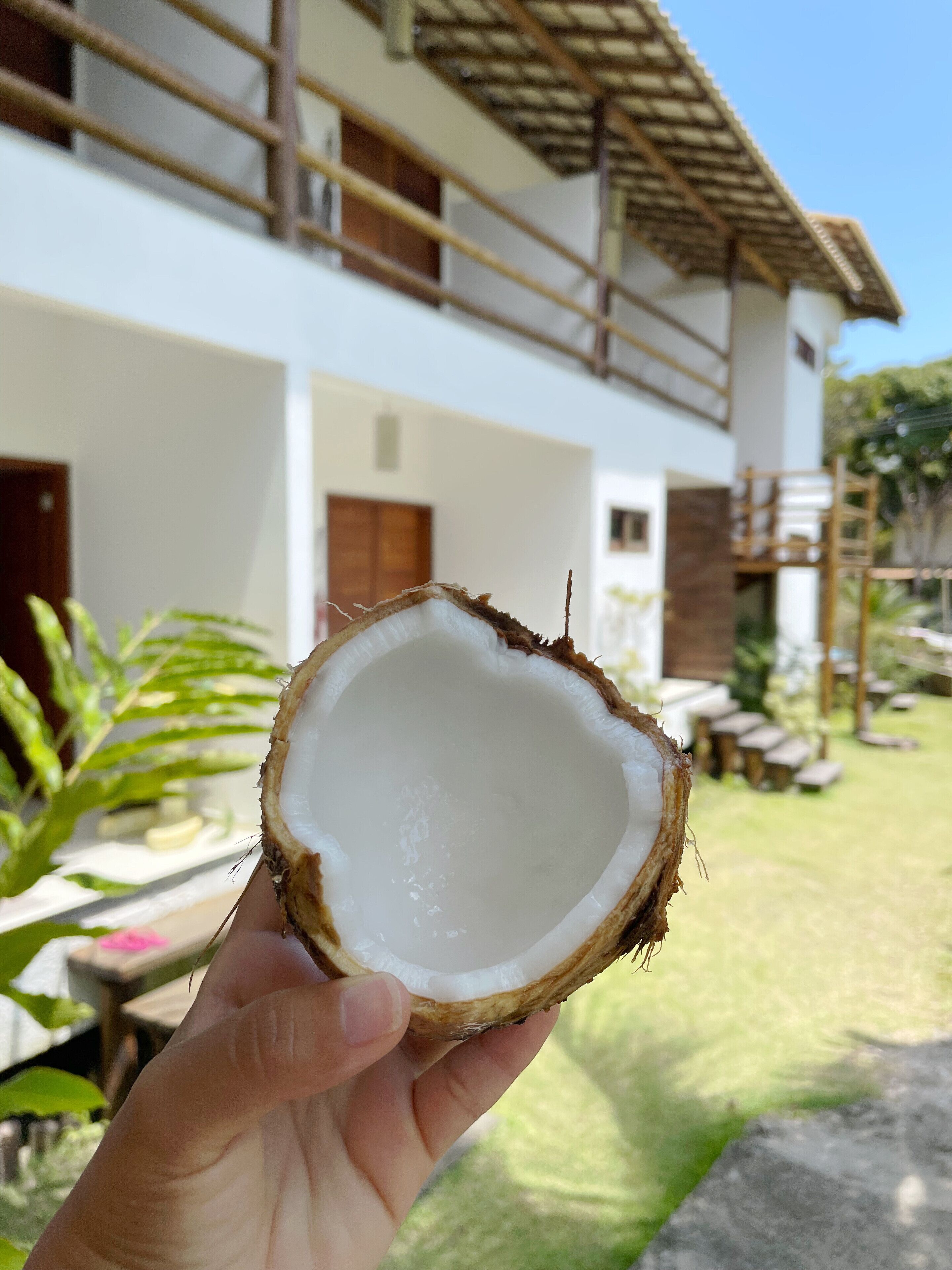 A hand holding a coconut with a white interior, in front of a house with a balcony and a garden.