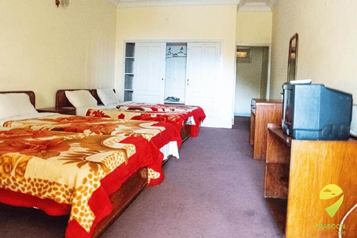 Standard Triple Room | Iron/ironing board, free WiFi