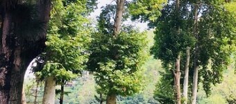 Imperial Hotel Miandam