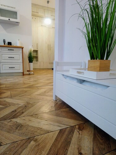 Apartament Mickiewicz - Center Wi-Fi, TV, Netflix, Parking