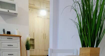 Apartament Mickiewicz - Center Wi-Fi, TV, Netflix, Parking