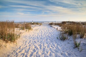 Un sentier de plage sablonneux, avec une végétation clairsemée et un ciel dégagé.