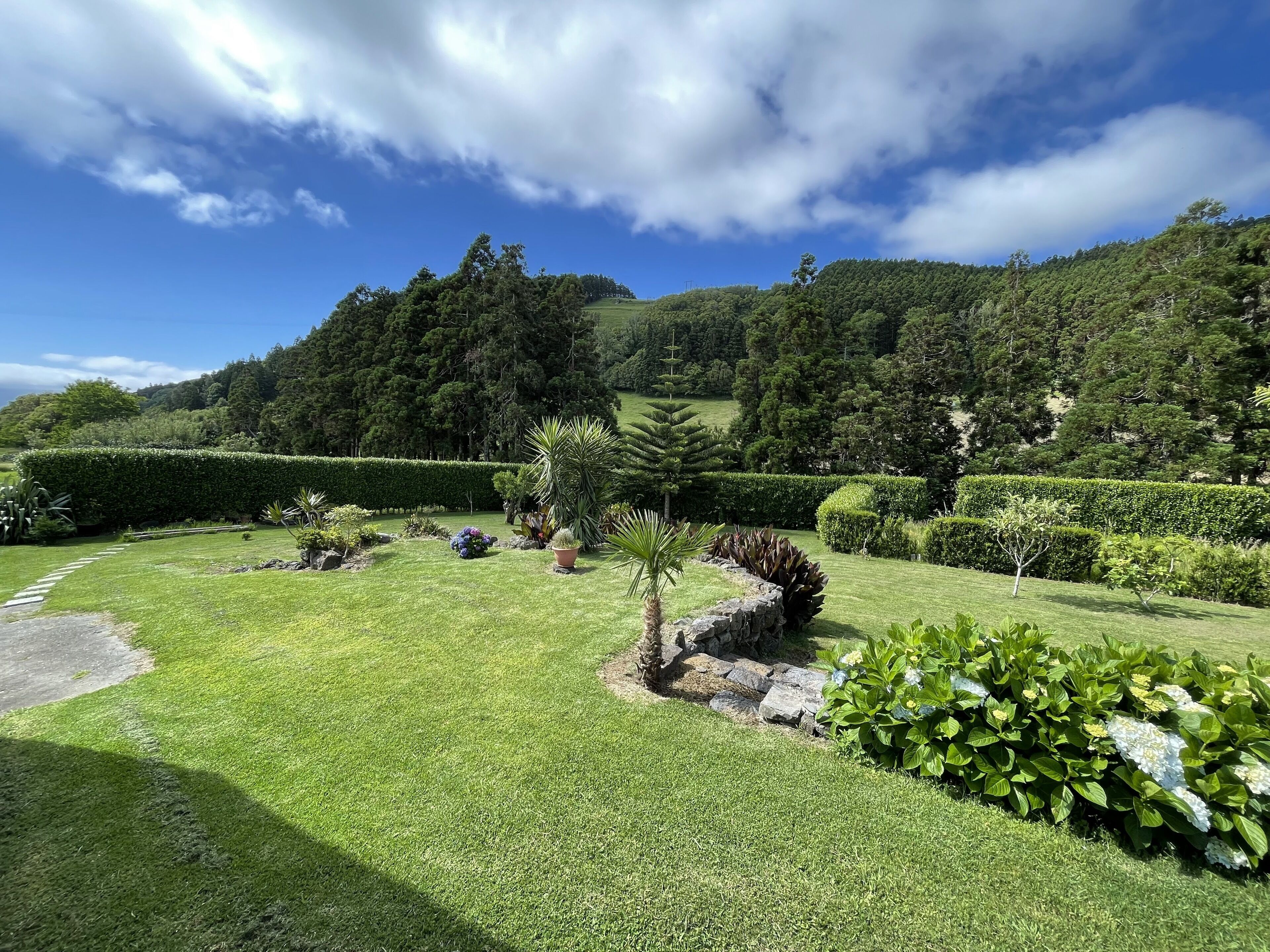 Un jardin bien entretenu, avec une grande variété de plantes et un chemin pavé de pierres.