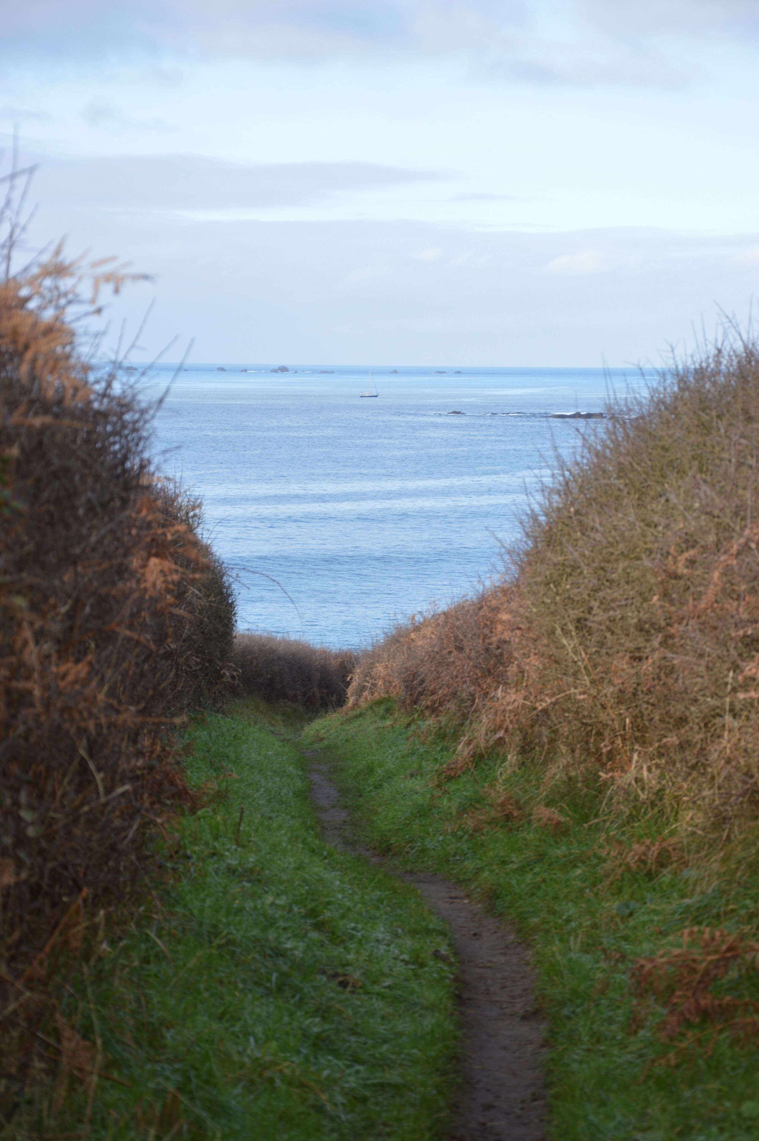 Strand