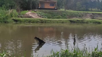 住宿场地