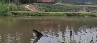 Romantic getaway cabin