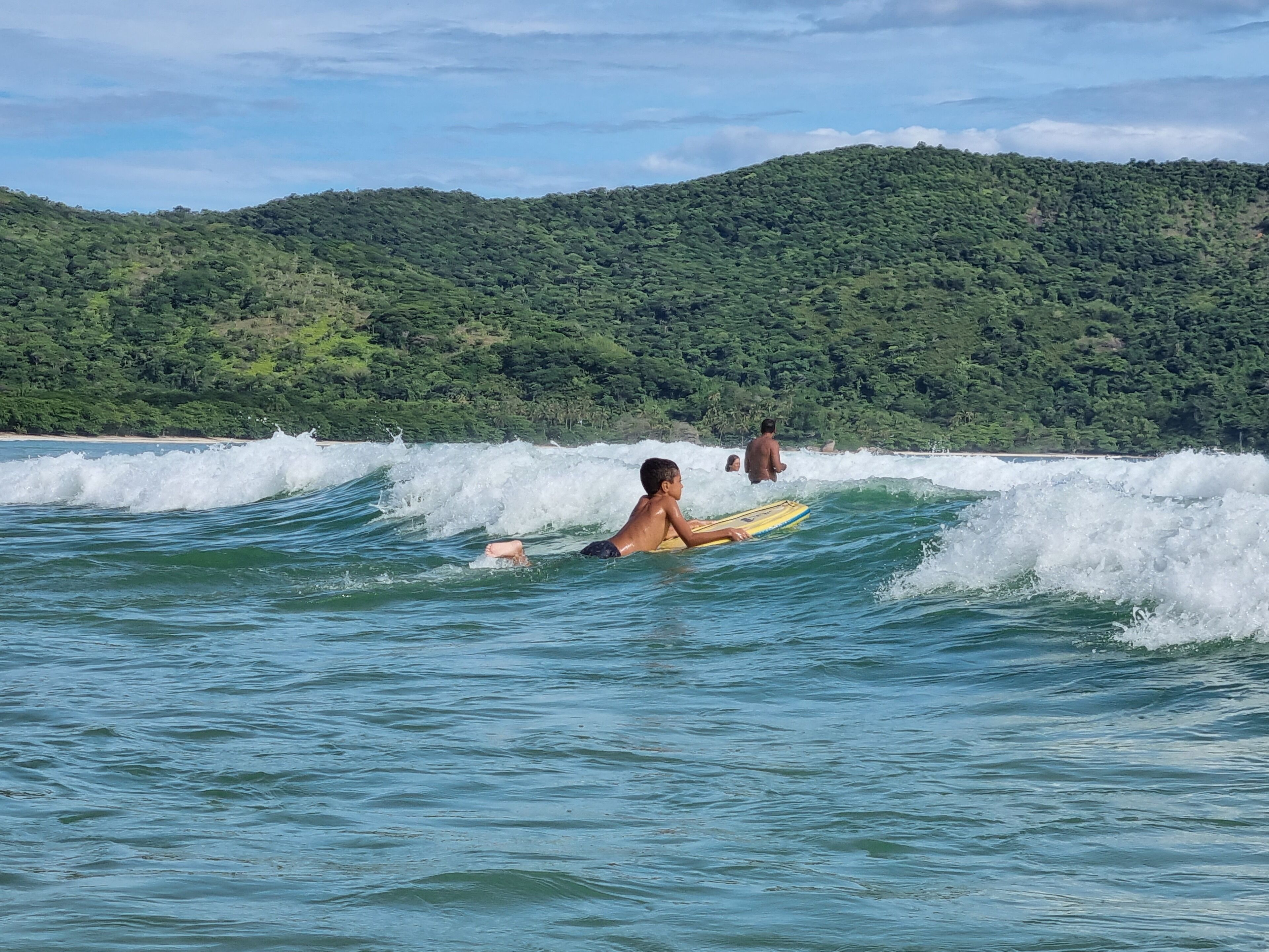 A beach scene with waves and a forested hill in the background.