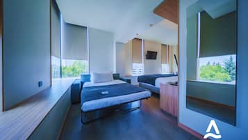 Alma Suite | 免费 WiFi、床单