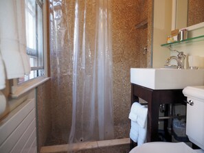 Combined shower/bathtub, hair dryer, towels