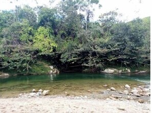 Imagen general
