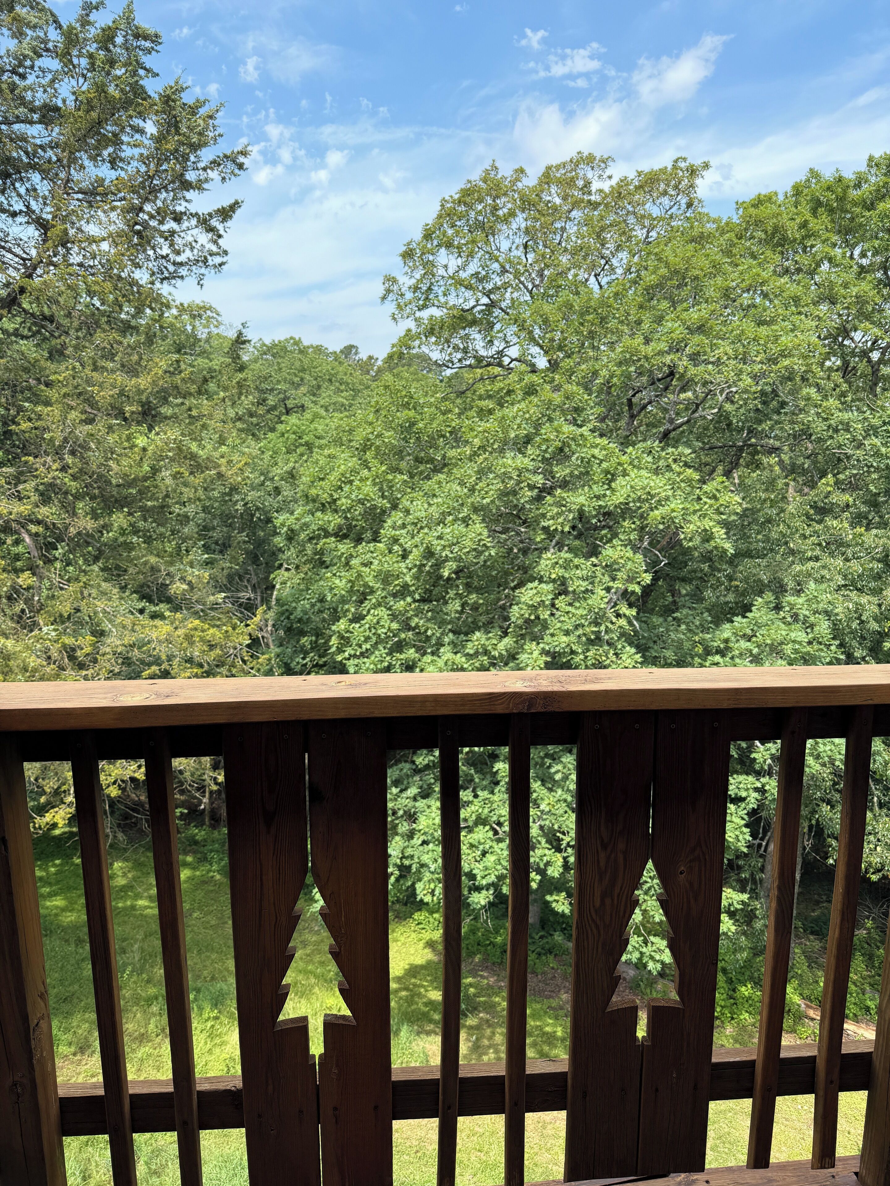 Un terrazza in legno con ringhiera che si affaccia su una fitta foresta e un cielo sereno.