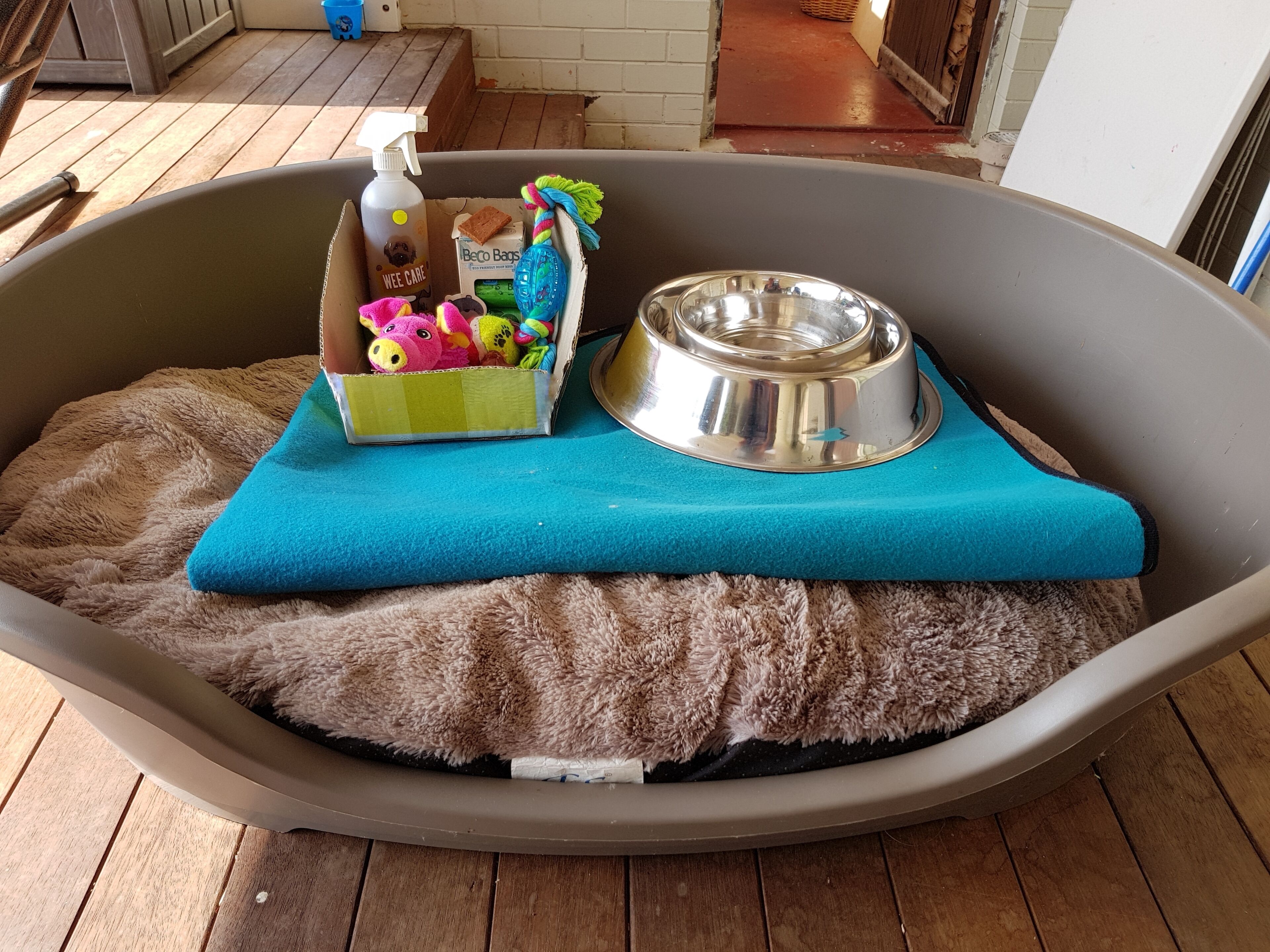 A pet bed with a blue blanket, a metal food bowl, and a box containing pet toys and a spray bottle.