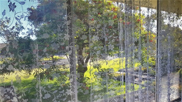 A window with a floral lace curtain, a view of a garden, and a clear sky.
