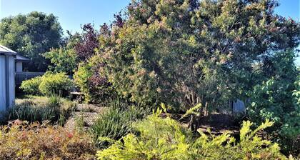 Beach 650m, town center 450m. Pet & child friendly backyard with undercover deck
