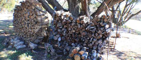 A stack of firewood under a tree.