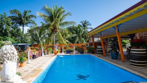 Piscina com superfície de água azul cristalina, cercada por palmeiras e plantas em vasos.