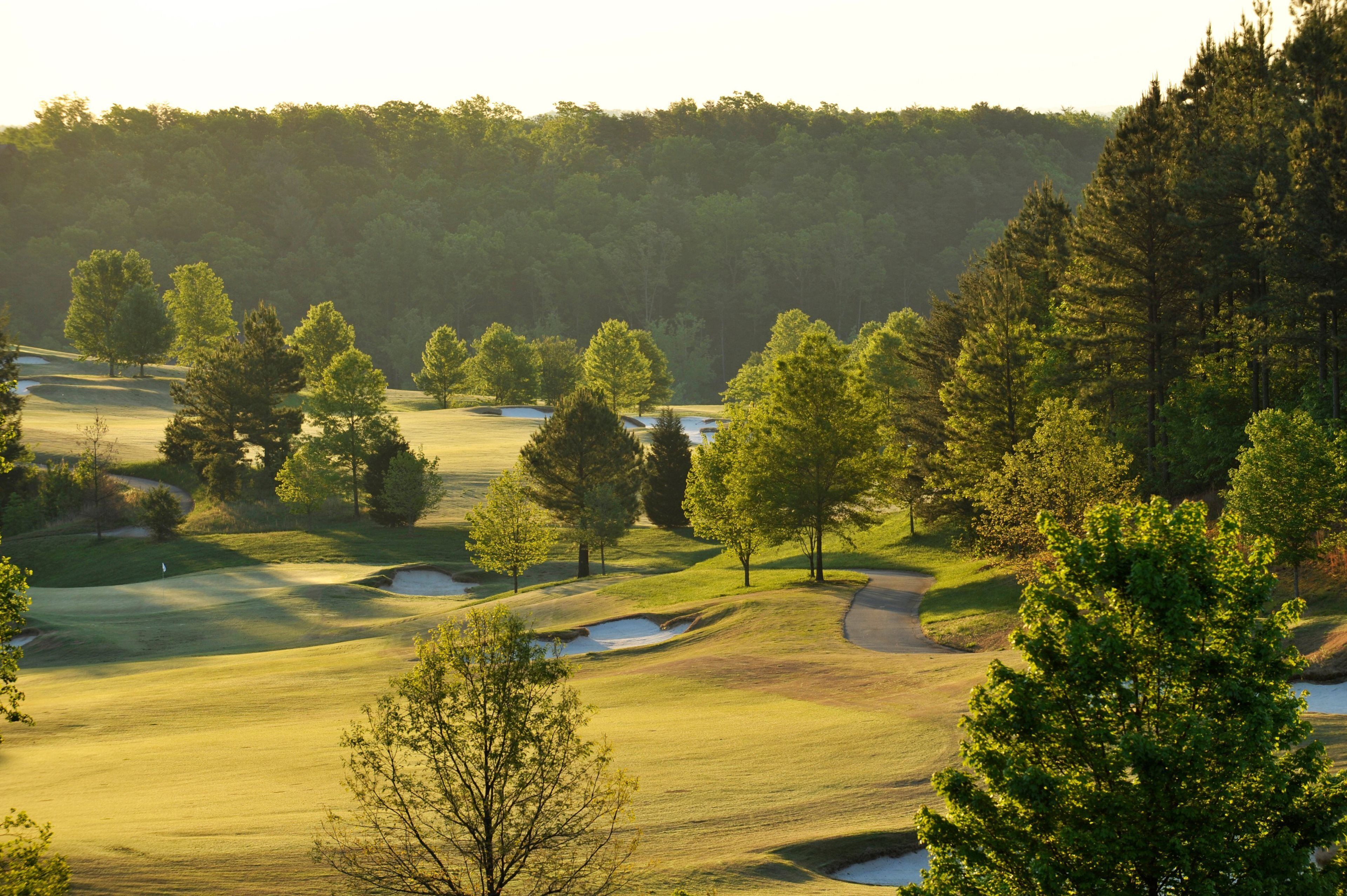 A golf course with sand bunkers and trees.