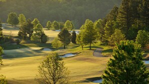 Un parcours de golf avec des bunkers de sable et des arbres.