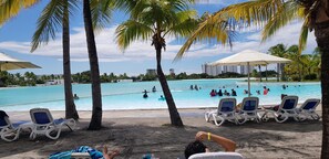 Un espace aménagé au bord de la piscine, avec des chaises longues, des palmiers et une piscine à l’eau d’un bleu limpide.