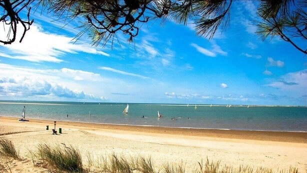 A beach with clear skies, sandy shore, and sailboats in the distance. - La Palmyre - Le HAMEAU de TALARIS - TERRACED HOUSE - SHARED POOL (LA PALMYRE)