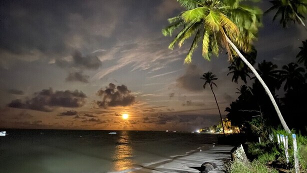 Une scène nocturne sur une plage, avec une promenade en bois, des palmiers et un coucher de soleil sur l’océan.