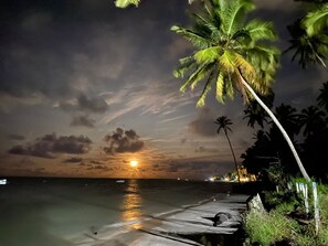 Escena nocturna de una playa con un paseo de madera, palmeras y un atardecer sobre el océano.