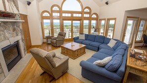 平板电视、壁炉、DVD 播放器、书