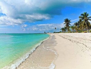 Ein Strand mit klarem türkisblauem Wasser, einem sandigen Ufer und Palmen.