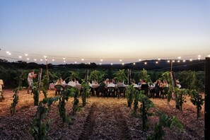 Outdoor banquet area - Trulli il Castagno, trulli farmhouse with pool, garden and private tavern (Martina Franca)
