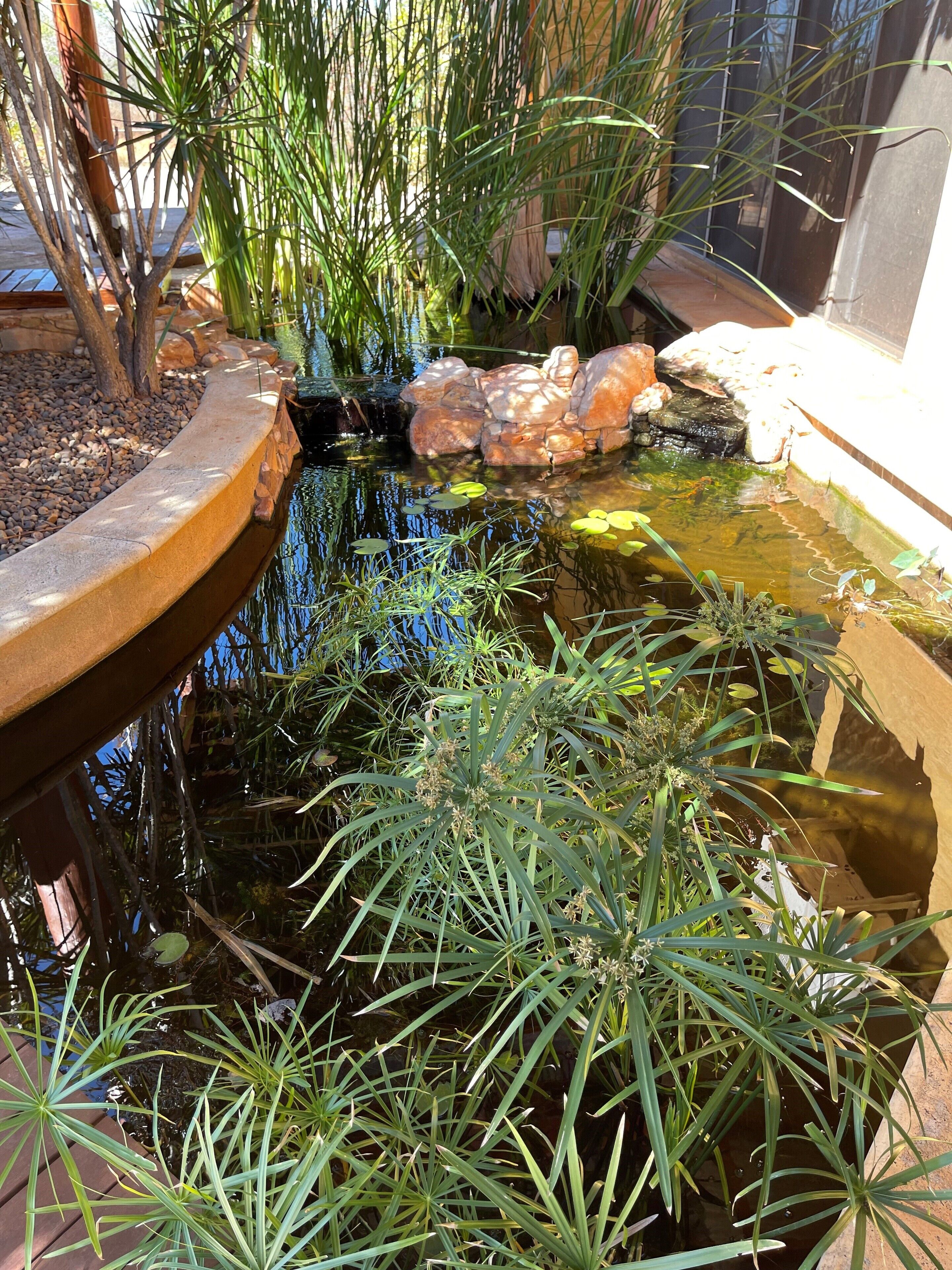 Your private oasis awaits you! Resort Pool unique Family Holiday Home