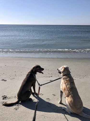 January and February long term rate stay available: Close to 🌊 &⛳️& 🛍️ &🍴