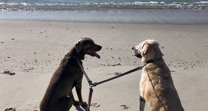 January and February long term rate stay available: Close to 🌊 &⛳️& 🛍️ &🍴