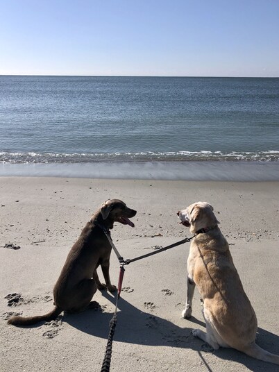 January and February long term rate stay available: Close to 🌊 &⛳️& 🛍️ &🍴