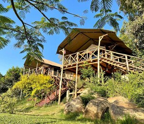 羽绒被、免费 WiFi、床单