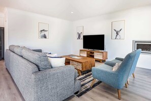 TV, fireplace
