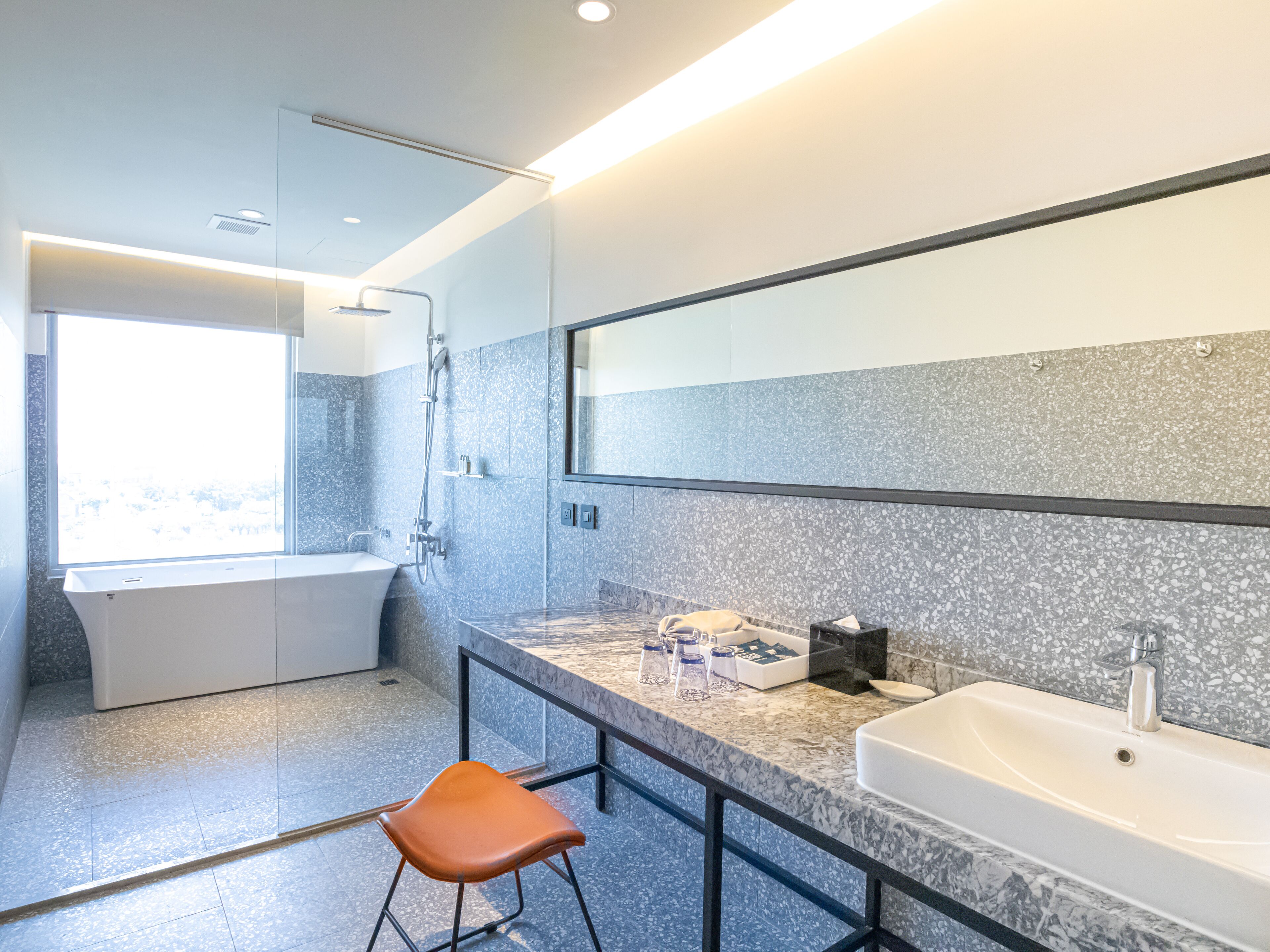 hair dryer, bidet, towels, shampoo