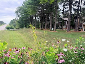 A grassy area with trees and a building in the background.