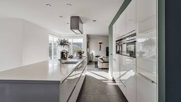 Fridge, oven, stovetop, dishwasher