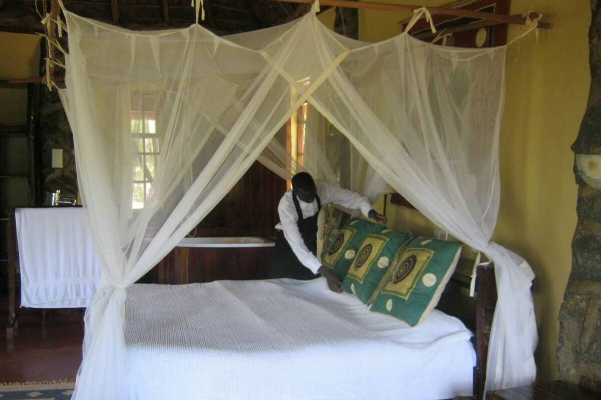 Una cama con dosel blanco y almohada estampada en tonos verdes.