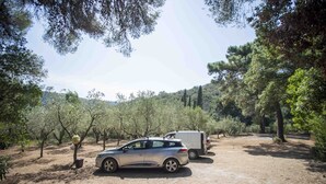 A car parked in a dry, wooded area with trees and a dirt path.