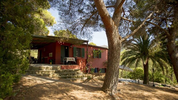 A rustic house with a red facade, stone steps leading to a covered porch, and a palm tree in the foreground.