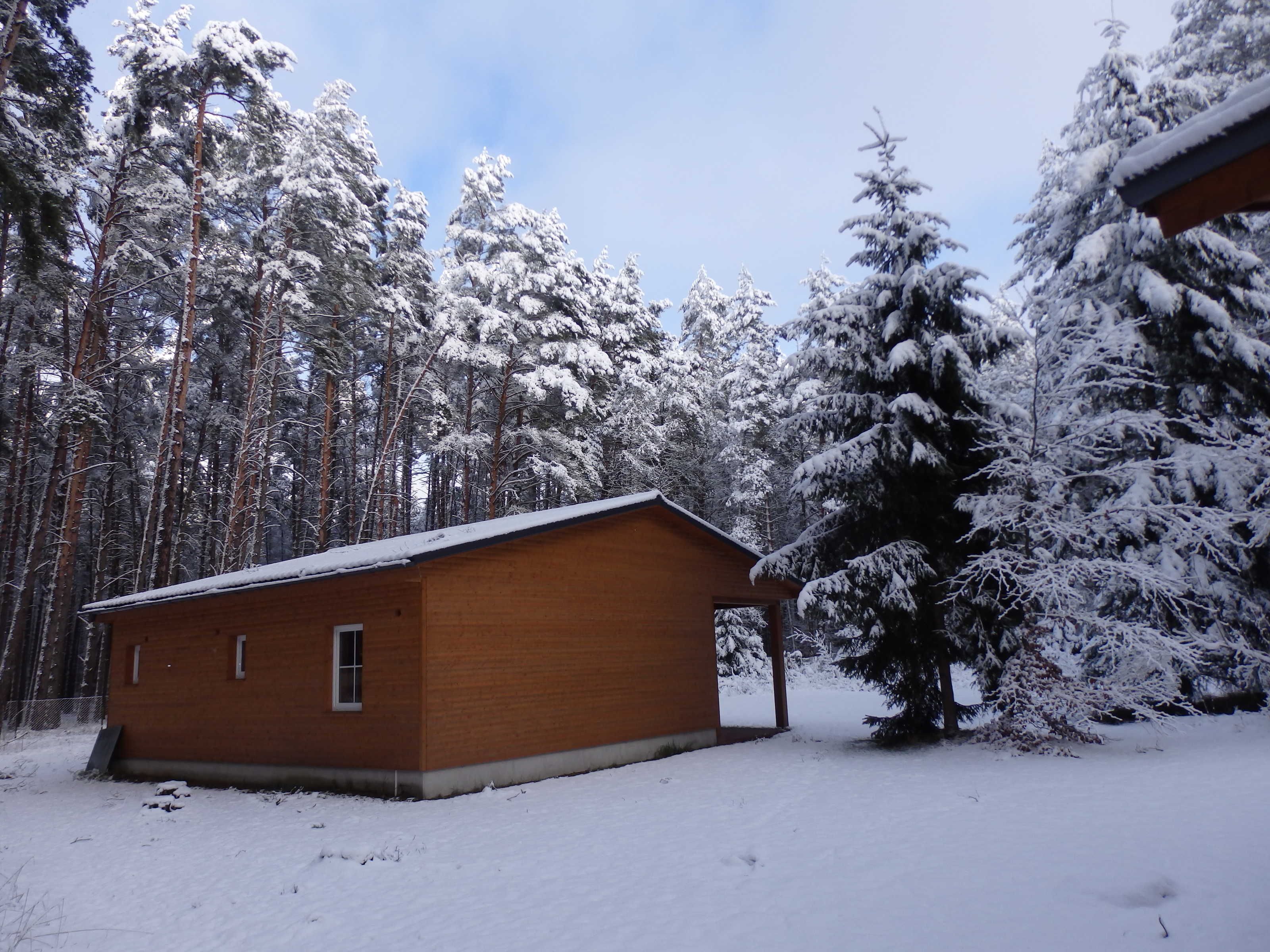 Une petite cabane en bois, entourée d’arbres couverts de neige.