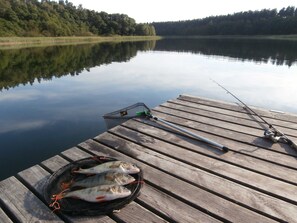 Image sans description, 2 de 33, bouton