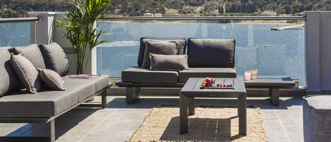 A terrace with a sofa, a coffee table, and a potted plant.