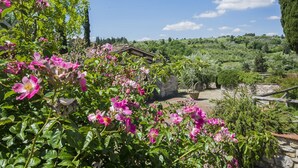 A rustic stone building surrounded by lush greenery and blooming pink flowers. - Agriturismo Il Melo with Mountain View, Shared Pool and Wi-Fi (Grassina)