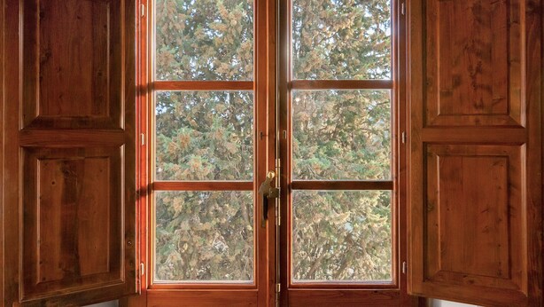 A wooden door with glass panels, a brass handle, and a view of trees outside. - Agriturismo Il Melo with Mountain View, Shared Pool and Wi-Fi (Grassina)