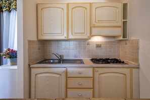 Fridge, stovetop, cookware/dishes/utensils