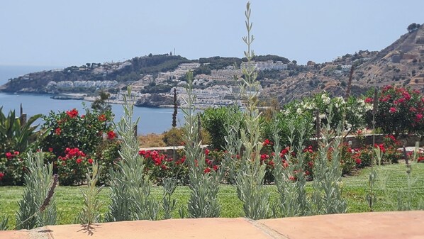 المنطقة المحيطة بالمنشأة