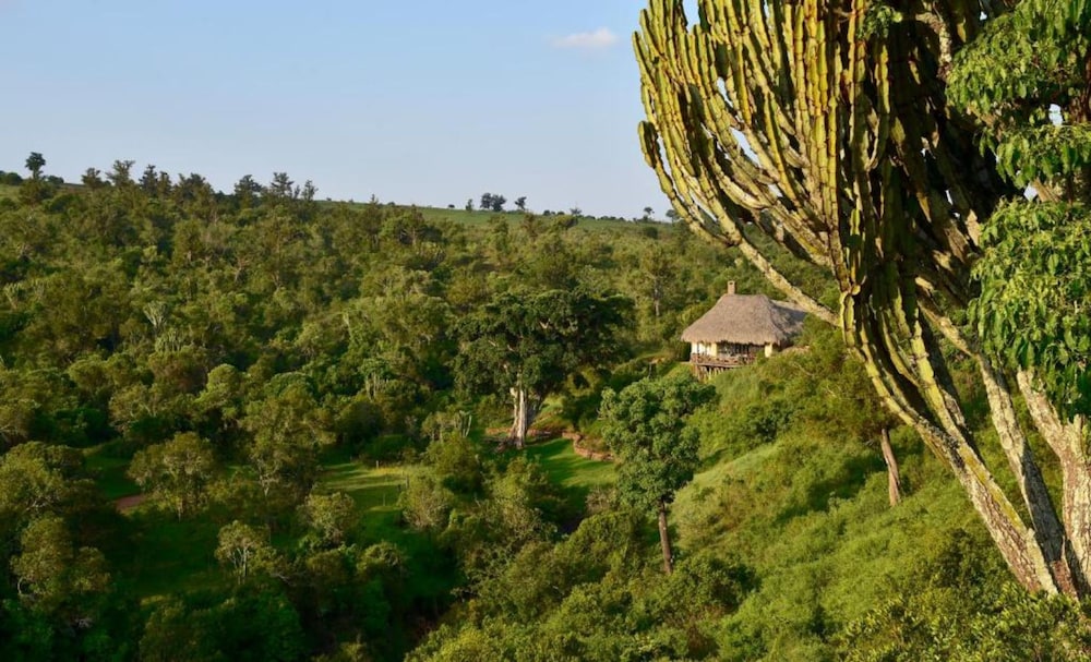 Olepangi Farm by null