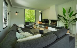 Televisión, chimenea y libros